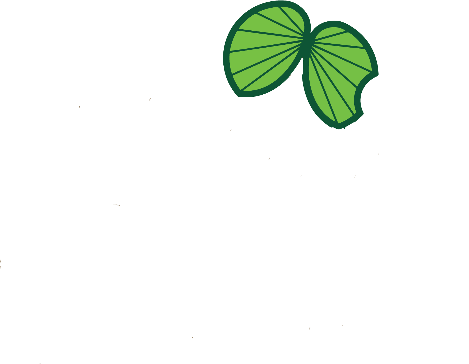 Mophane Plastics Pty Ltd.